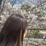 ヒメ日記 2025/04/06 08:15 投稿 さな 横浜熟女MAX