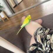 ヒメ日記 2025/07/25 08:25 投稿 さな 横浜熟女MAX