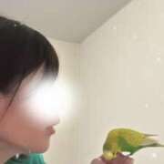 ヒメ日記 2025/10/26 15:15 投稿 さな 横浜熟女MAX