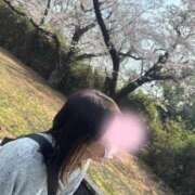 ヒメ日記 2026/04/01 12:45 投稿 さな 横浜熟女MAX