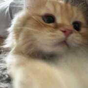 ヒメ日記 2026/04/05 10:05 投稿 さな 横浜熟女MAX