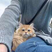 さな 来週の予定です＾＾ 横浜熟女MAX