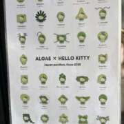 ヒメ日記 2025/09/05 21:15 投稿 櫻井はる Lumière-ルミエール-