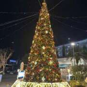 ヒメ日記 2025/12/15 12:16 投稿 櫻井はる Lumière-ルミエール-