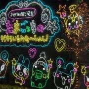 ヒメ日記 2025/12/15 21:15 投稿 櫻井はる Lumière-ルミエール-