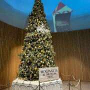 ヒメ日記 2025/12/16 16:49 投稿 櫻井はる Lumière-ルミエール-