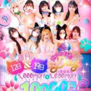 ヒメ日記 2026/02/18 12:15 投稿 櫻井はる Lumière-ルミエール-