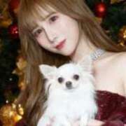 ヒメ日記 2026/01/04 23:05 投稿 TSUBAKI GINGIRA☆TOKYO～ギンギラ東京～