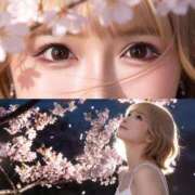 ヒメ日記 2026/04/12 03:27 投稿 TSUBAKI GINGIRA☆TOKYO～ギンギラ東京～