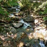 ヒメ日記 2025/07/27 06:00 投稿 小日向朝露 プレジデントクラブ