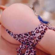 ヒメ日記 2025/10/14 20:59 投稿 小日向朝露 プレジデントクラブ