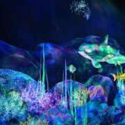 ヒメ日記 2025/11/11 23:10 投稿 小日向朝露 プレジデントクラブ