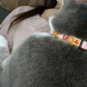 ヒメ日記 2024/12/08 10:13 投稿 しほ 脱がされたい人妻 越谷店