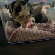 ヒメ日記 2025/01/26 14:28 投稿 しほ 脱がされたい人妻 春日部店