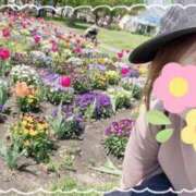 ヒメ日記 2025/01/14 17:57 投稿 西島すず Mrs.Dandy Ueno