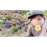 ヒメ日記 2025/04/07 13:02 投稿 西島すず Mrs.Dandy Ueno