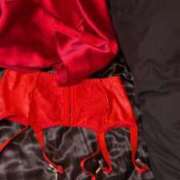 ヒメ日記 2024/12/14 21:56 投稿 佐々波エヴァ Mrs.Dandy Ueno