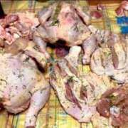 ヒメ日記 2024/12/16 17:16 投稿 佐々波エヴァ Mrs.Dandy Ueno