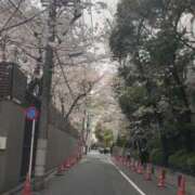 ヒメ日記 2025/03/31 20:03 投稿 佐々波エヴァ Mrs.Dandy Ueno