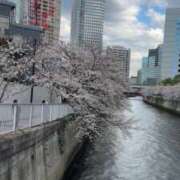 ヒメ日記 2025/04/04 16:54 投稿 佐々波エヴァ Mrs.Dandy Ueno