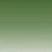 ヒメ日記 2025/11/15 15:35 投稿 佐々波エヴァ Mrs.Dandy Ueno