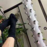 ヒメ日記 2025/11/16 08:11 投稿 佐々波エヴァ Mrs.Dandy Ueno