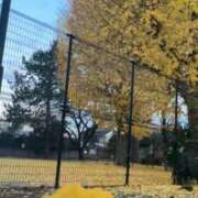 ヒメ日記 2025/12/04 17:51 投稿 佐々波エヴァ Mrs.Dandy Ueno