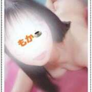 ヒメ日記 2025/04/14 12:36 投稿 もか フォーチュン