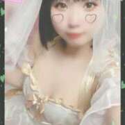 ヒメ日記 2026/06/14 16:03 投稿 もか フォーチュン