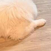 ヒメ日記 2025/05/01 16:03 投稿 かな シークレットサービス