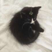 ヒメ日記 2025/10/24 21:19 投稿 かな シークレットサービス