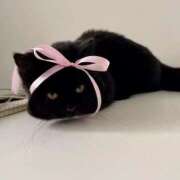 かな 今年ラスト出勤❗️ シークレットサービス