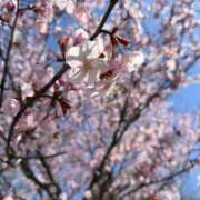 ヒメ日記 2026/04/25 15:48 投稿 かな シークレットサービス