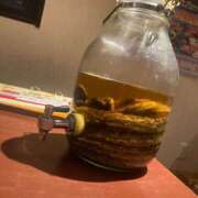 ヒメ日記 2025/07/18 22:09 投稿 みお シークレットサービス