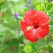 ヒメ日記 2025/02/07 12:04 投稿 さりな 熟女の風俗最終章 西川口店