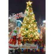 ヒメ日記 2024/12/24 18:58 投稿 あんず 長野権堂更埴ちゃんこ