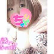 ヒメ日記 2025/02/01 13:10 投稿 あんず 長野権堂更埴ちゃんこ