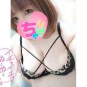 ヒメ日記 2025/02/01 18:58 投稿 あんず 長野権堂更埴ちゃんこ