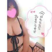 ヒメ日記 2025/02/09 11:48 投稿 あんず 長野権堂更埴ちゃんこ