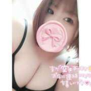 ヒメ日記 2025/02/13 12:38 投稿 あんず 長野権堂更埴ちゃんこ