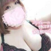 ヒメ日記 2025/02/13 19:58 投稿 あんず 長野権堂更埴ちゃんこ