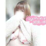 ヒメ日記 2025/02/15 12:32 投稿 あんず 長野権堂更埴ちゃんこ