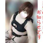 ヒメ日記 2025/04/04 15:08 投稿 あんず 長野権堂更埴ちゃんこ