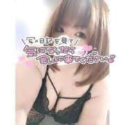 ヒメ日記 2025/04/05 12:28 投稿 あんず 長野権堂更埴ちゃんこ