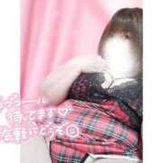 ヒメ日記 2025/04/05 16:28 投稿 あんず 長野権堂更埴ちゃんこ