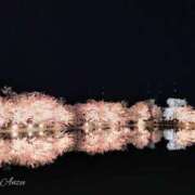 ヒメ日記 2025/04/17 12:58 投稿 あんず 長野権堂更埴ちゃんこ