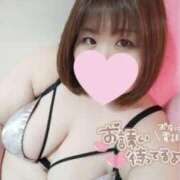 ヒメ日記 2025/04/28 23:08 投稿 あんず 長野権堂更埴ちゃんこ