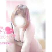 ヒメ日記 2025/05/06 10:18 投稿 あんず 長野権堂更埴ちゃんこ