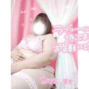 ヒメ日記 2025/05/25 16:48 投稿 あんず 長野権堂更埴ちゃんこ