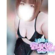 ヒメ日記 2025/06/07 12:28 投稿 あんず 長野権堂更埴ちゃんこ